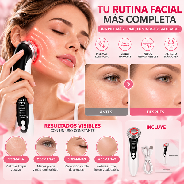 Contenido del paquete del masajeador facial